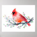 Search for christmas cardinal art Animal