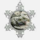Search for bearded dragon ornaments Animal