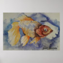 Search for goldfish posters Nature