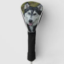 Search for husky golf head covers Siberian