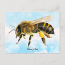Search for honey bee postcards Wildlife