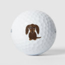 Search for chocolate golf balls Dog