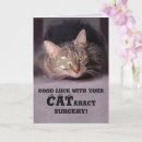 Search for surgery cards Cat