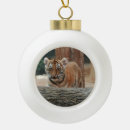 Search for tiger ornaments Wild