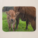 Search for cow blankets Dairy farm