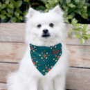 Search for cute dog collars Animal