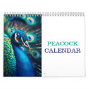 Search for peacock calendars Wildlife