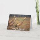 Search for cranes christmas cards Animal