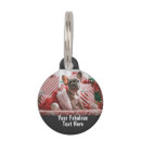 Search for dog collars harnesses Puppy