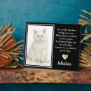 Search for unique pet memorials Sympathy quote