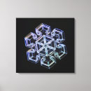 Search for snowflakes canvas prints Frozen