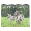 Search for africa calendars Lion