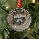 Search for raccoon ornaments Woodland creatures