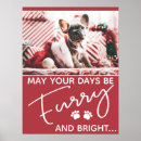 Search for furry posters Pet