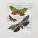 Search for butterfly postcards Flower leaves