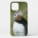 Search for penguin iphone cases Birds