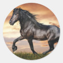 Search for black stallion stickers Animal