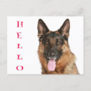 Search for german cards Dog