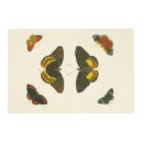 Search for butterfly placemats White