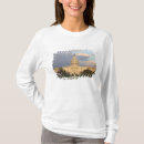 Search for 50 state capitals Washington dc