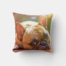 Search for pet photo pillows Under fifty dollars