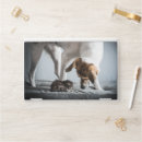 Search for dog laptop skins Cat