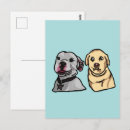 Search for meme postcards Animals