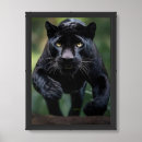 Search for black panther animal posters Exotic