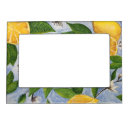 Search for lemon picture frames Watercolor