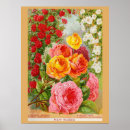 Search for vintage rose posters Retro
