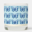 Search for butterfly candles Nature