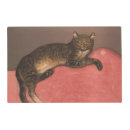 Search for tabbys place Animal