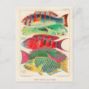 Search for great barrier reef postcards Vintage