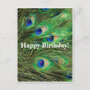 Search for peacock birthday cards Stylish