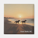 Search for outer banks magnets North carolina