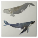 Search for kitchen tiles Ceramic