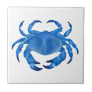 Search for beach house tiles Blue