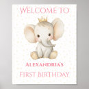 Search for princess birthday posters Pink