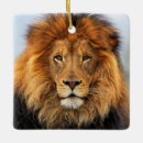 Search for lion ornaments Feline