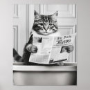 Search for cat reading posters Cats