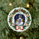 Search for bernese mountain dog ornaments Pet