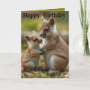 Search for quokka cards Marsupial
