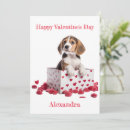 Search for beagle cards Pet