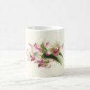 Search for orchid mugs Phalaenopsis