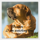 Search for beware dog signs Animal