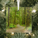 Search for olympic national park ornaments Woods