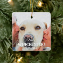 Search for family quotes ornaments Minimalist