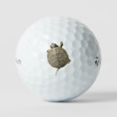 Search for turtle golf balls Cute