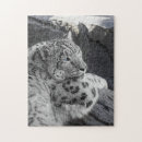 Search for snow leopard puzzles Spots