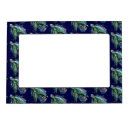 Search for turtle picture frames Ocean